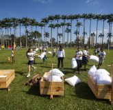 Día del Desafío 2017<br>São José dos Campos</br>